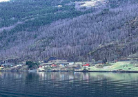 世界遺產挪威松恩峽灣
