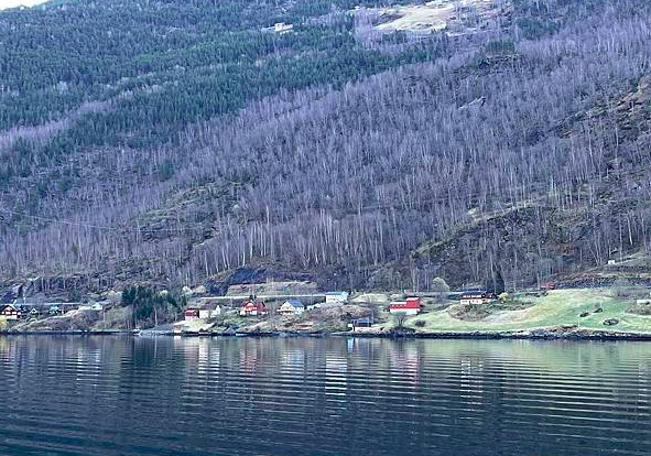 世界遺產挪威松恩峽灣