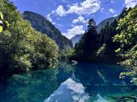 A Dream in Color: Reflections After Visiting Jiuzhaigou 