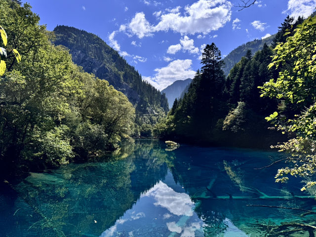 A Dream in Color: Reflections After Visiting Jiuzhaigou 