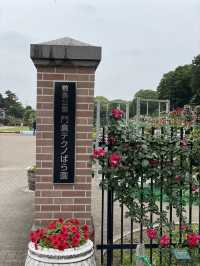 【群馬】600種7000株の薔薇の楽園