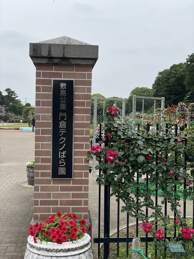 【群馬】600種7000株の薔薇の楽園