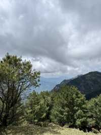 走讀阿里山林道鐵路的百年風華～奮起湖站到十字路站