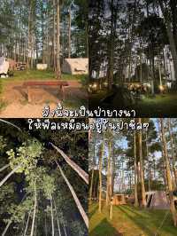 แจกพิกัด! ลานกางเตนท์ นครนายกจึ้งๆ! 🏕️