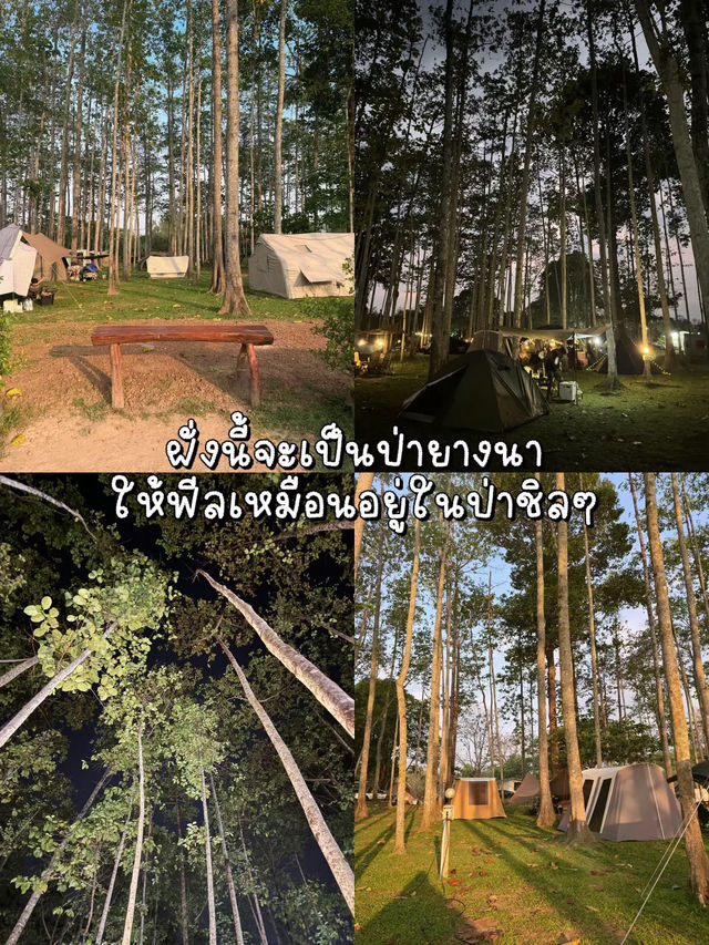 แจกพิกัด! ลานกางเตนท์ นครนายกจึ้งๆ! 🏕️
