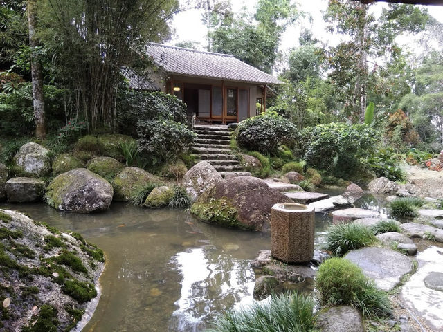 🍃 Zen Vibes Only: A Peaceful Pause at Bukit Tinggi’s Japanese Garden 🏯✨