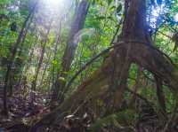 Exploring Sungai Kapur: Lahad Datu’s Hidden Riverine Escape