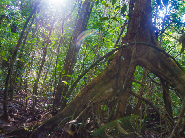 Exploring Sungai Kapur: Lahad Datu’s Hidden Riverine Escape
