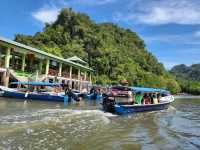 🌿🚤 Kilim River Cruise Review: A Mangrove Adventure in Langkawi!