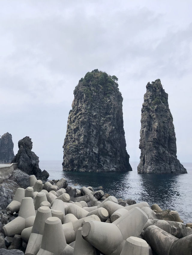 🏝️ 울릉도 여행 완벽 코스 – 관광안내소부터 독도까지