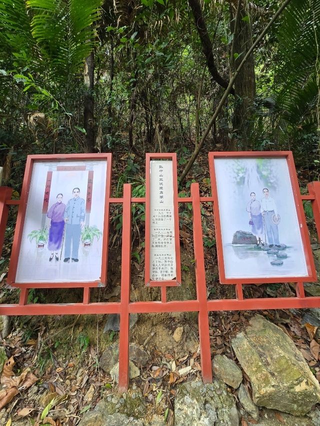 🌿 肇慶鼎湖山：綠色逃亡秘境！🌄