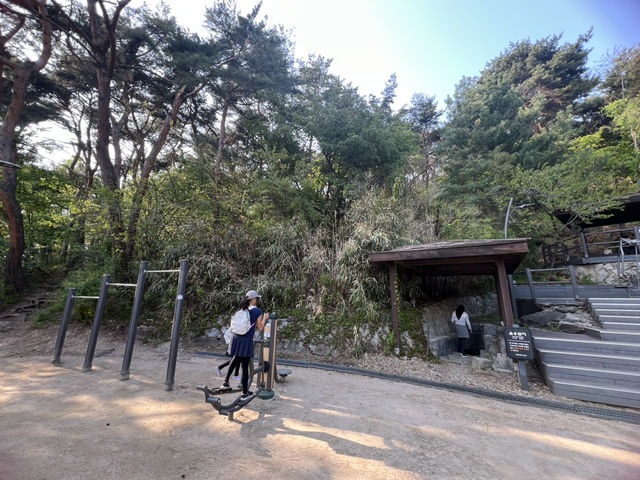 Namsan Vibes: Hike, Snap, Explore!