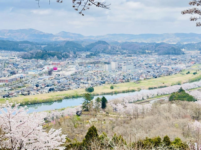 🇯🇵 仙台櫻花 船岡城址公園🌸