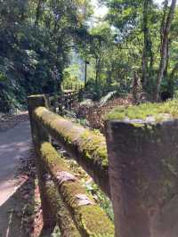 信賢步道