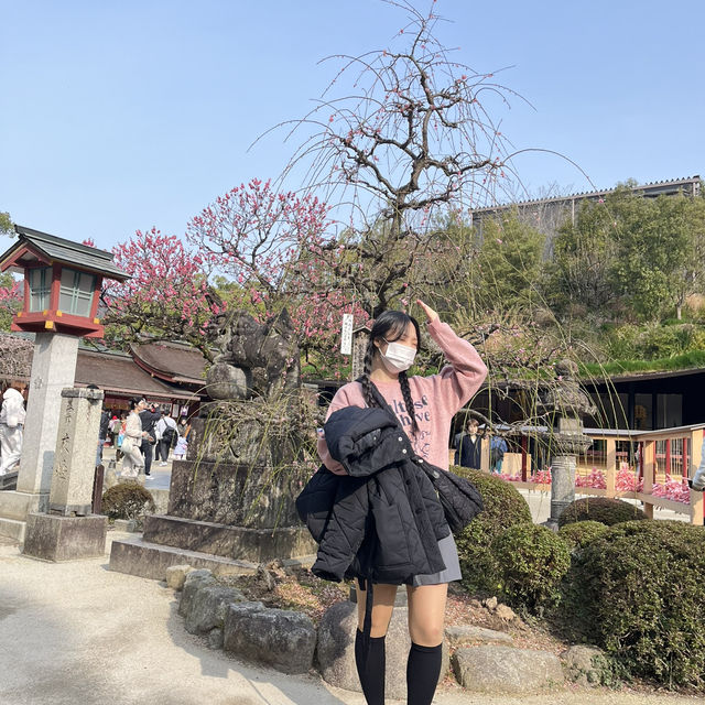사랑하는 사람들과 힐링하러 가야하는 일본 유후인💛