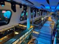 "Carnival Jubilee: The Ship That Throws a Texas-Sized Party (With a Side of Gumbo)" 🤠🎉🚢