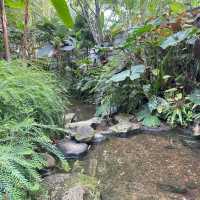 พราวภูฟ้า เมืองเชียงใหม่