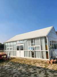 韓國清州| 白色簡約設計小屋 토성마을打卡熱爆了，夢幻小屋
