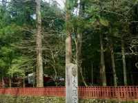 Nikko's Ancient Cedar Avenue: Japan's April Awakening