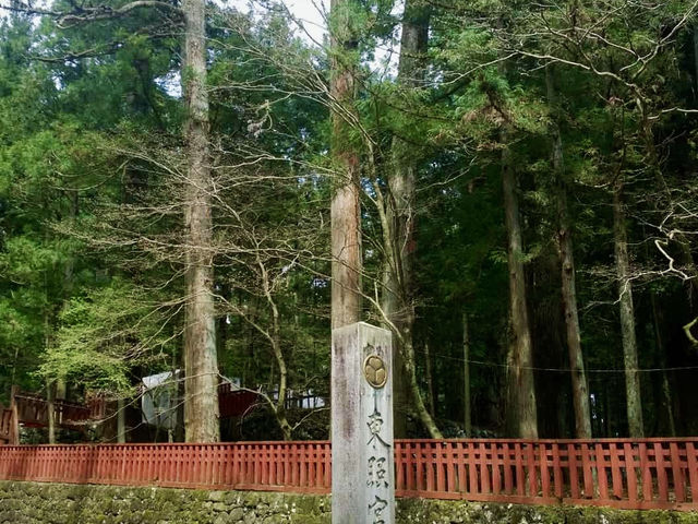 Nikko's Ancient Cedar Avenue: Japan's April Awakening