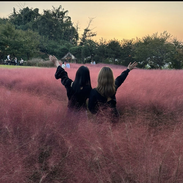イスプ