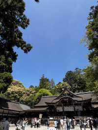 神様に“山そのもの”を祀るという、ちょっと異次元な神社🇯🇵✈️🌎