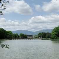 Lush Reflections: Fukada Pond