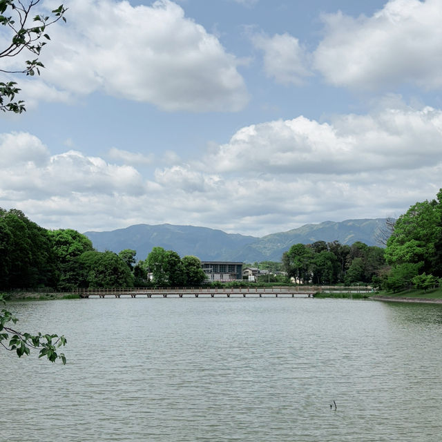 Lush Reflections: Fukada Pond