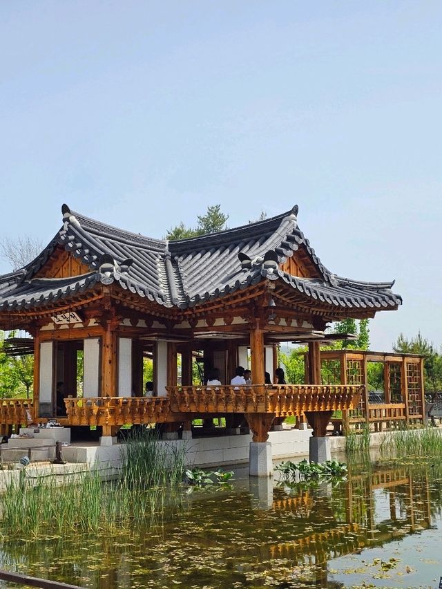 세종에 재현된 왕실 전통 정원 🖼