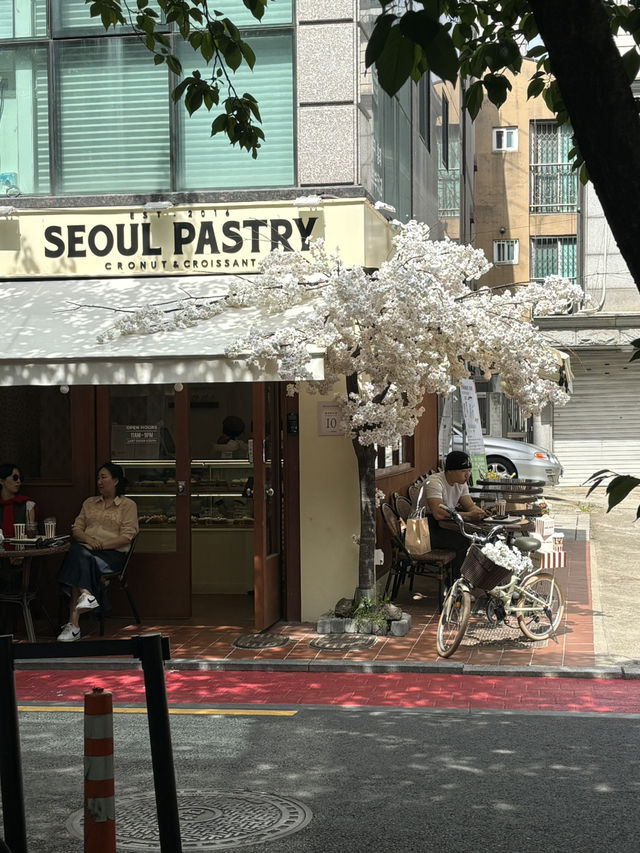연트럴 파크 구경가자