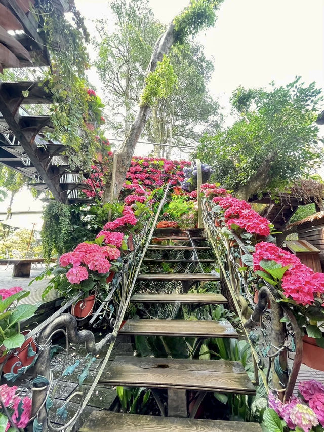 在全台首座精油博物館聞精油看繡球花海