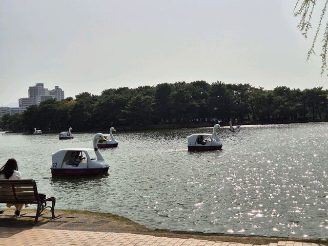 후쿠오카 오호리공원, 마이즈루공원💓