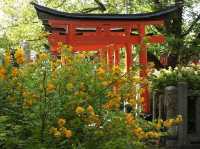 A Quiet, Hidden Gem in Kyoto