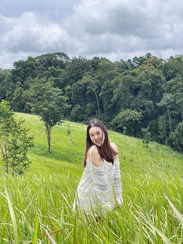 🌿 สัมผัสธรรมชาติที่อุทยานแห่งชาติเขาใหญ่