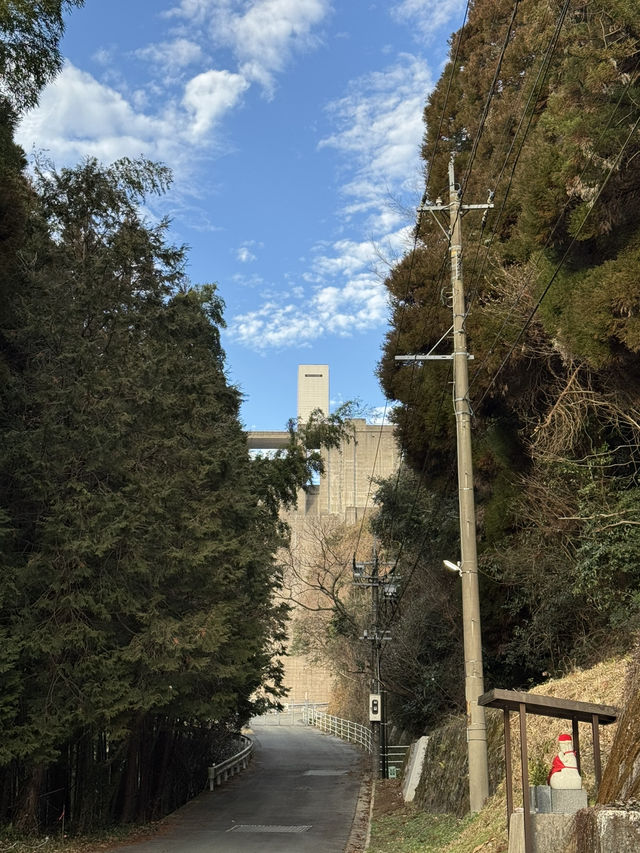 【熊本旅行】竹林に囲まれた知る人ぞ知るパワースポット神社⛩