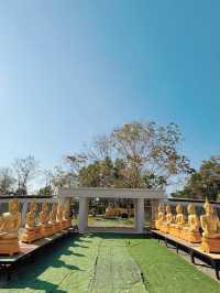 ต้นโพธิ์ที่เก่าแก่ที่สุดในไทยที่ อ.ศรีมโหสถ ปราจีน