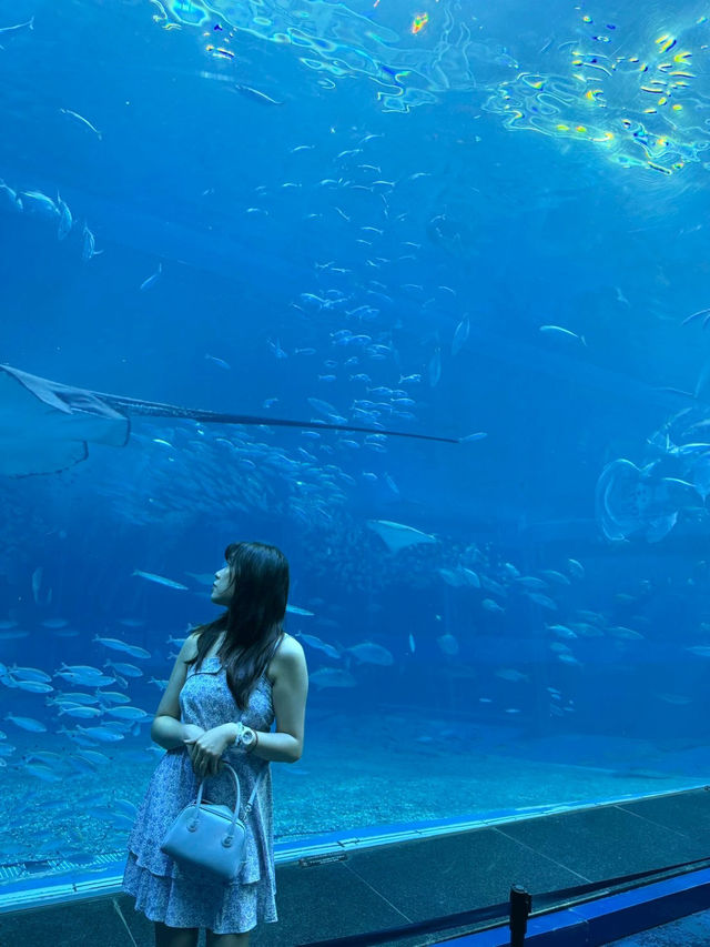 日本沖繩美麗海水族館