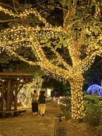 A Slow Getaway in Jozankei – Steam, Silence & Starry Nights