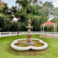Botanical Bliss at Wildseed Café at The Alkaff Mansion
