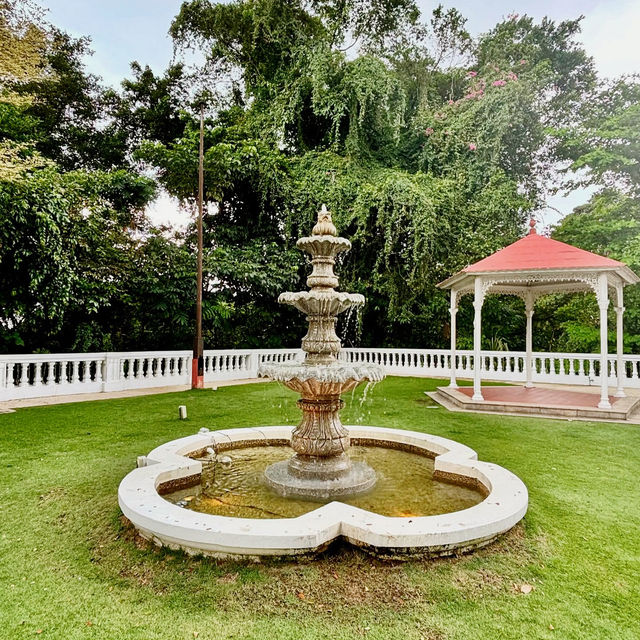 Botanical Bliss at Wildseed Café at The Alkaff Mansion