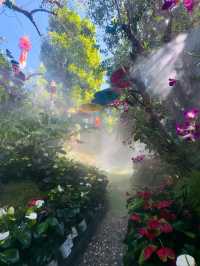 Where Coffee Meets Fairyland in Chiang Rai