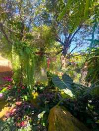 Where Coffee Meets Fairyland in Chiang Rai