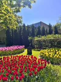 The Best Season in Amsterdam is Here! 🌷🇳🇱