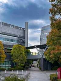 Discover the Pulse of Japan