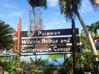Into the Depths: A Mesmerizing Day at Puerto Princesa’s Underground River