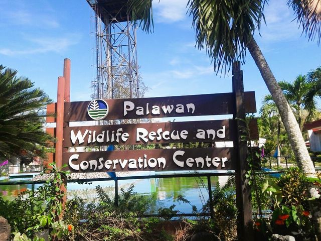 Into the Depths: A Mesmerizing Day at Puerto Princesa’s Underground River