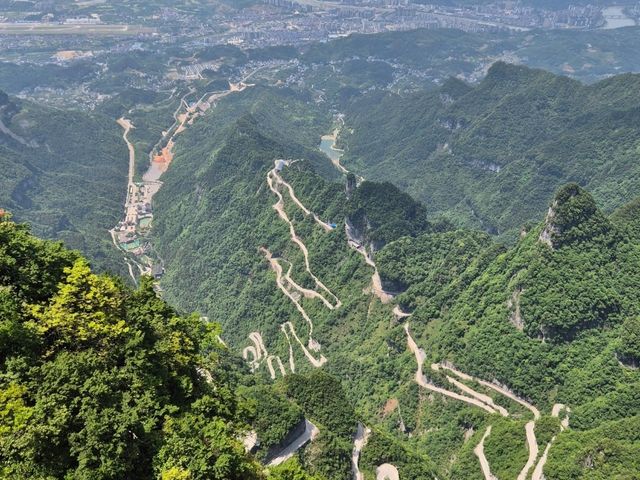 For the Nature and Scenery Lovers 🏞 