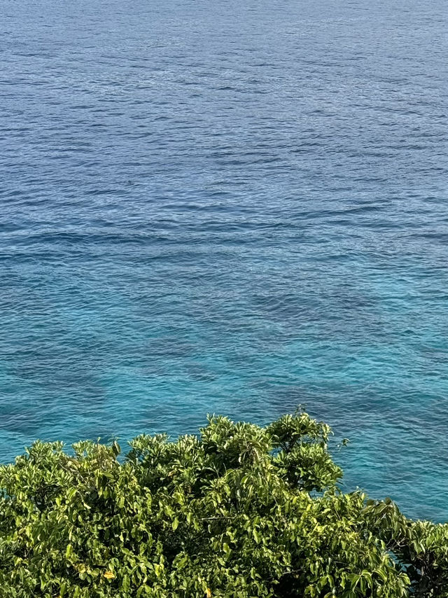여기가 지상낙원아닌가요...?🏝️