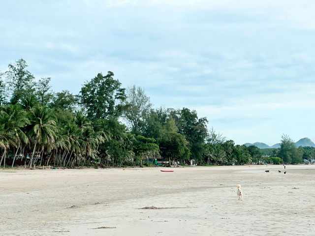 หาดทุ่งวัวแล่น ชุมพร