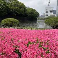 皇居東御苑 (Imperial Palace East Garden, Otemachi)